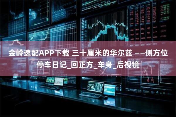 金岭速配APP下载 三十厘米的华尔兹 ——侧方位停车日记_回正方_车身_后视镜